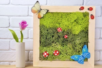 Moss Wall Art (with Kit)